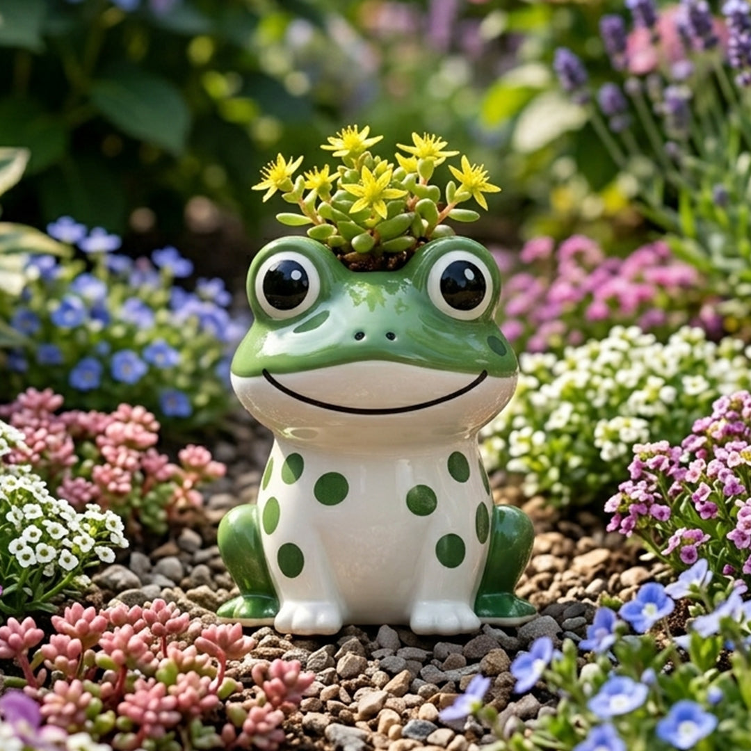 Sproutly the Smiling Frog Ceramic Plant Holder