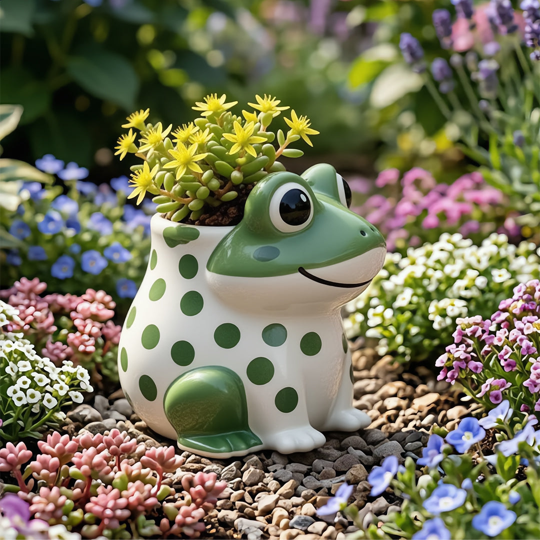 Sproutly the Smiling Frog Ceramic Plant Holder