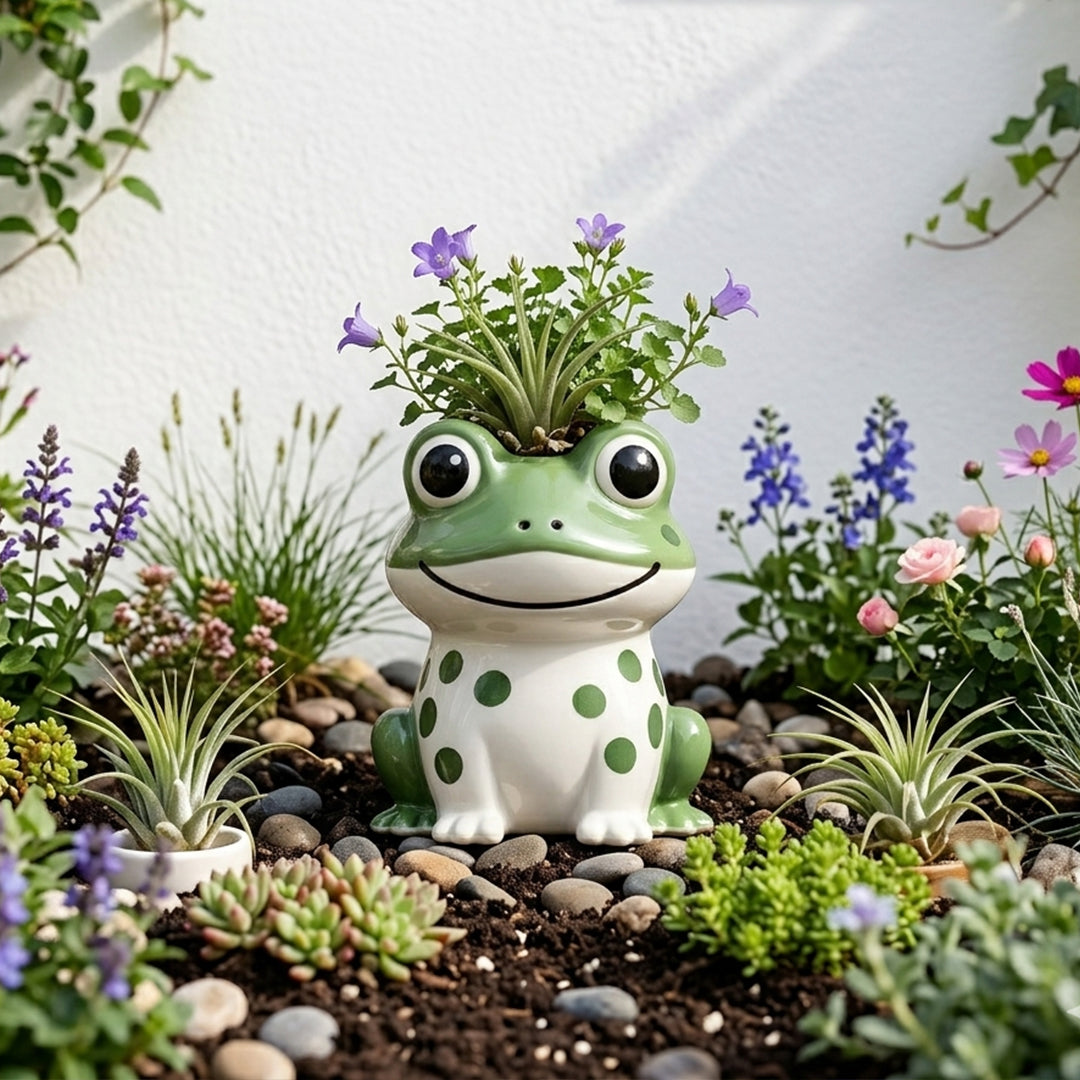 Sproutly the Smiling Frog Ceramic Plant Holder